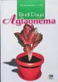 Image of Budi Daya Aglonema