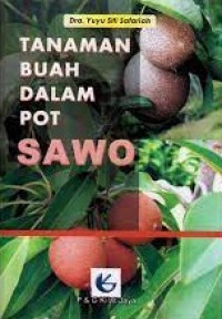Image of Tanaman Buah Dalam Pot Sawo