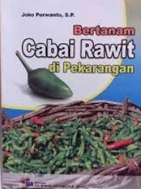 Image of Bertanam Cabai Rawit di Pekarangan