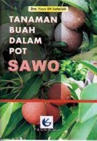 Image of Tanaman Buah Dalam Pot Sawo